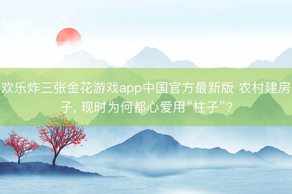 欢乐炸三张金花游戏app中国官方最新版 农村建房子, 现时为何都心爱用“柱子”?