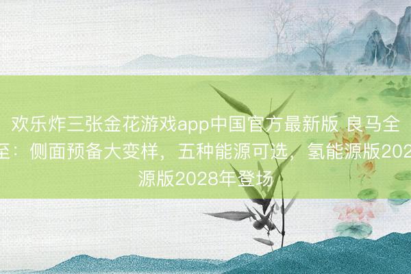 欢乐炸三张金花游戏app中国官方最新版 良马全新X5将至：侧面预备大变样，五种能源可选，氢能源版2028年登场